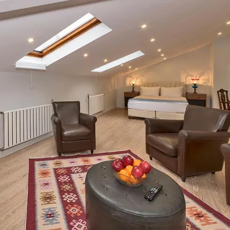 Hotell Febor Park Levent 3*