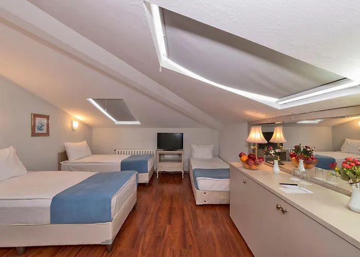 Hotel Febor Park Levent 3*